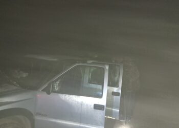 Beazley: cuatro cazadores fueron demorados