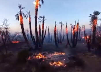 INCENDIO EN SAN FRANCISCO