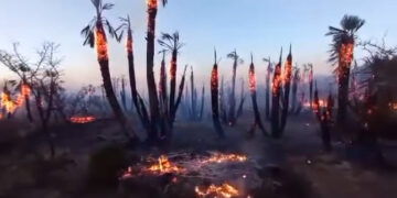 INCENDIO EN SAN FRANCISCO
