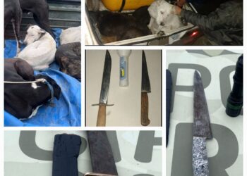 La Angelina – Juan Jorba: cazadores furtivos fueron sorprendidos en distintos procedimientos