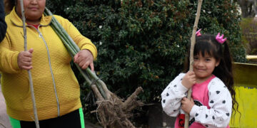 “Más árboles, más vida”: entregaron especies en el departamento San Martín