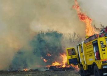 Bomberos Voluntarios sofocaron un incendio en un campo de Las Chacras