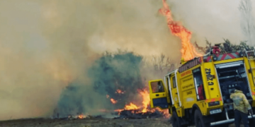 Bomberos Voluntarios sofocaron un incendio en un campo de Las Chacras