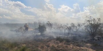 Trabajan para extinguir un incendio forestal en Alto Pelado