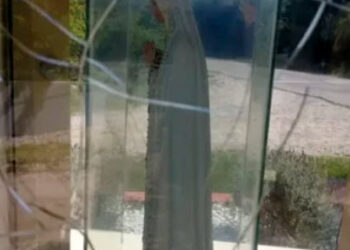 Aseguran que cambia de color el manto de la Virgen de Fátima en Merlo