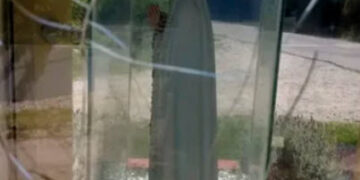 Aseguran que cambia de color el manto de la Virgen de Fátima en Merlo