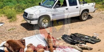 Buena Esperanza: Detuvieron a dos hombres por abigeato.