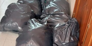 Naschel: el festival recaudó alimentos y útiles