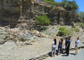 El Parque Provincial Bajo de Véliz permanecerá cerrado al público por las altas temperaturas