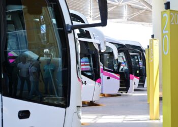 El servicio que brindaba Panaholma será cubierto por 3 empresas