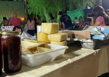 Villa de la Quebrada vivió la 4° edición del Festival del Queso y Quesillo Puntano