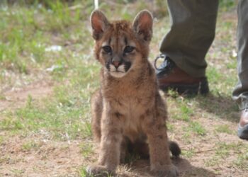 La Reserva Floro Faunística de La Florida permanecerá cerrada el fin de semana