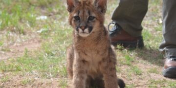 La Reserva Floro Faunística de La Florida permanecerá cerrada el fin de semana