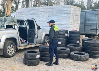Quines: en un control vehicular, la Policía secuestró neumáticos y diversos elementos valuados en aproximadamente 10 millones de pesos