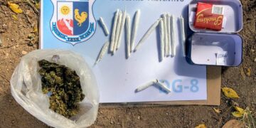 Renca: la Policía demoró a dos jóvenes que tenían marihuana en su poder