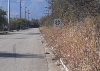 La municipalidad de Carpintería le reclama a la provincia para que limpie las banquinas de la Ruta 28