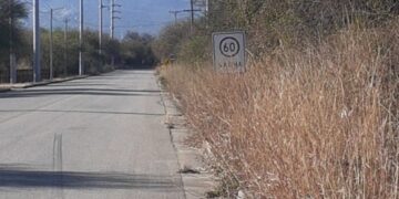La municipalidad de Carpintería le reclama a la provincia para que limpie las banquinas de la Ruta 28