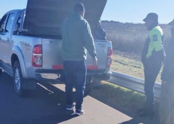 Nueva Galia: la Policía secuestró un arma de fuego en un puesto limítrofe