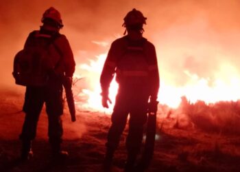 Cortan ruta 1 por los incendios y hay detenidos