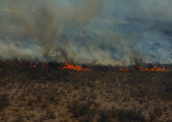 Trabajan en los últimos focos de incendios en San Martín y Quines