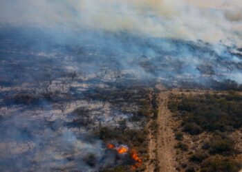 Un proyecto para mejor asistencia de los afectados por los incendios en San Martin, no prosperó por falta de apoyo de senadores oficialistas
