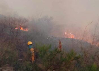 Buscan apagar el único incendio activo que queda en San Luis