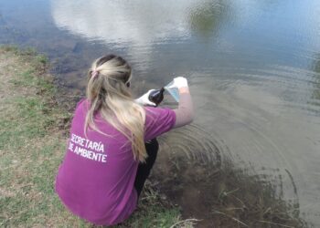 Se conocieron las causas de la mortandad de carpas en el río Conlara