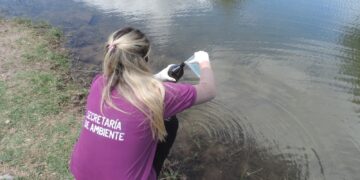Se conocieron las causas de la mortandad de carpas en el río Conlara