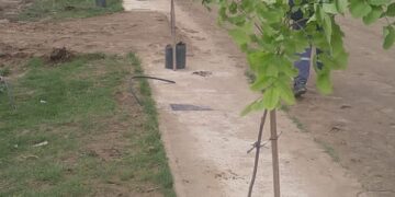 Naschel continúa con su plan de foretsación