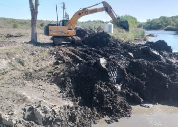 Finalizó la segunda instancia de limpieza en el azud de Renca