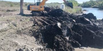 Finalizó la segunda instancia de limpieza en el azud de Renca