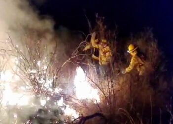 Tras un arduo trabajo, bomberos y brigadistas contuvieron un incendio en Carpintería