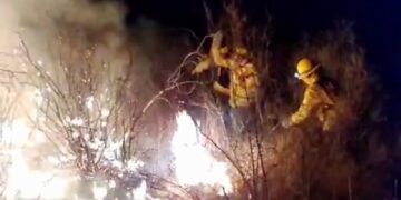 Tras un arduo trabajo, bomberos y brigadistas contuvieron un incendio en Carpintería
