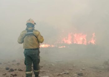 Bomberos trabajan en un incendio forestal en Batavia