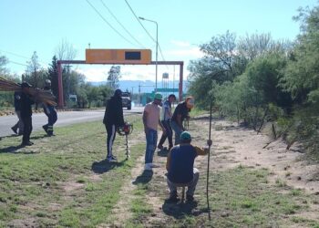 Avanza la forestación en el acceso a San Gerónimo
