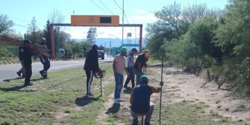 Avanza la forestación en el acceso a San Gerónimo