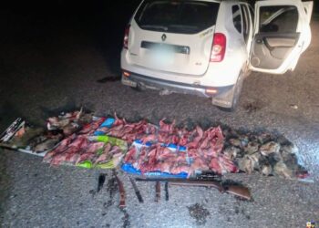 Sorprendieron a cazadores furtivos que tenían 35 vizcachas faenadas