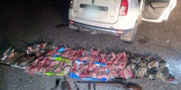 Sorprendieron a cazadores furtivos que tenían 35 vizcachas faenadas