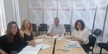 Salud pública: advierten que faltan profesionales y técnicos en el interior