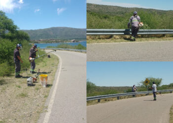 Realizaron trabajos de mantenimiento en el perilago del dique Las Palmeras