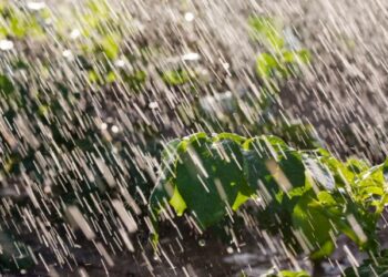 Nueva Galia, Buena Esperanza y Unión, las localidades más beneficiadas por las lluvias de ayer