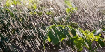 Nueva Galia, Buena Esperanza y Unión, las localidades más beneficiadas por las lluvias de ayer