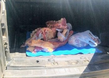 Cortaderas: decomisaron 50 kilos de carne de dudosa procedencia que era comercializada de manera clandestina