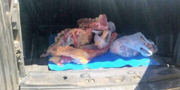 Cortaderas: decomisaron 50 kilos de carne de dudosa procedencia que era comercializada de manera clandestina