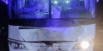 Un colectivo embistió a dos equinos en la ruta provincial 1; uno de los animales murió