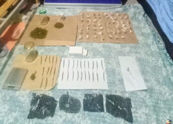 Quines: la Policía incautó droga valuada en más de un millón de pesos y detuvo a una mujer