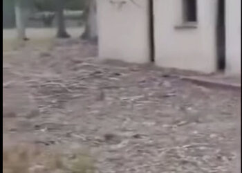 El dique y el camping San Felipe, totalmente abandonados