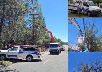 Reporte Edesal: trabajos en la normalización del servicio en San Luis