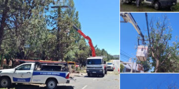 Reporte Edesal: trabajos en la normalización del servicio en San Luis