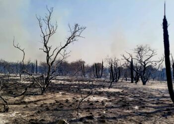 Quienes realicen quemas sin autorización recibirán multas de hasta $1.000 millones